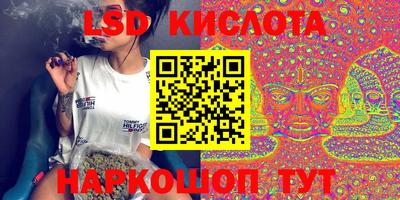 СК Волгодонск
